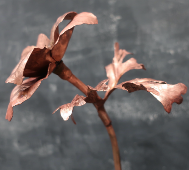 Atelier de création de fleur en cuivre à Kitchener, ON Image