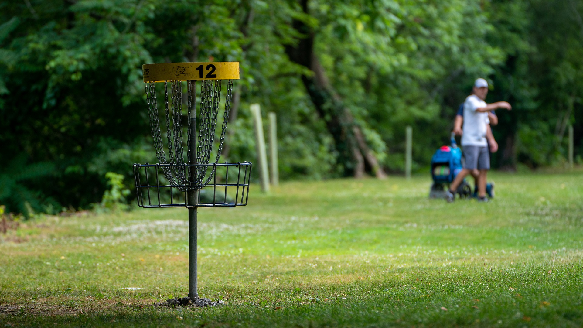 Disque-golf à Victoria, C.-B. Image