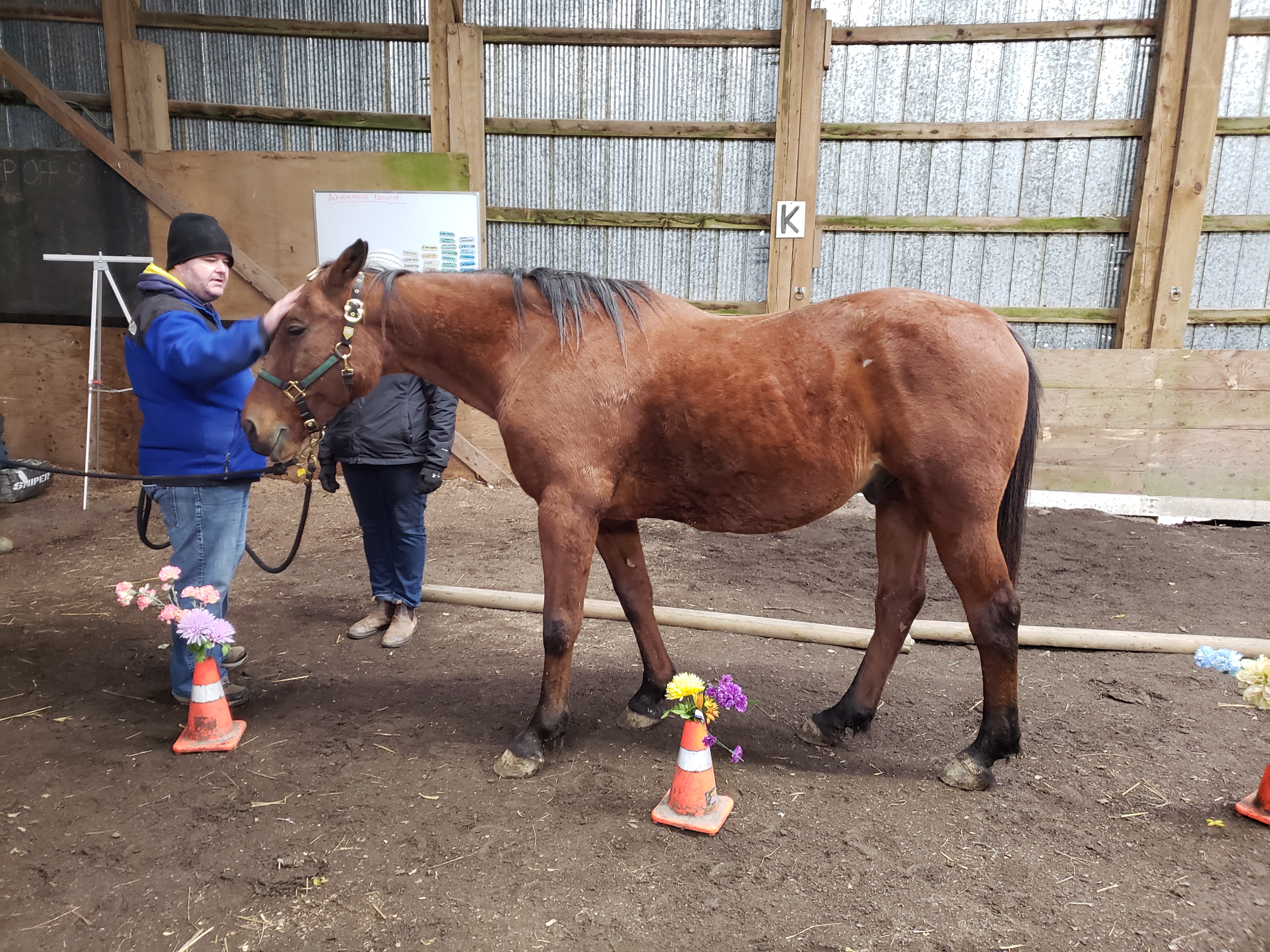 Introduction à l'équitation à Lyn, Ont. Image