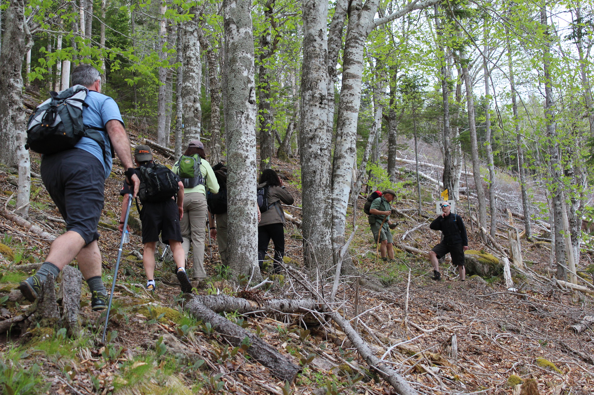 Randonnée guidée pour débutants au Parc provincial Mactaquac, N.-B. Image