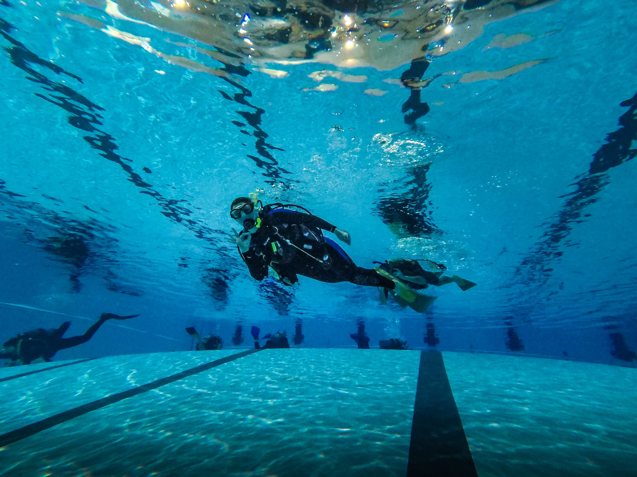 Cours de plongée en eau libre PADI à Halifax, N.-É. Image