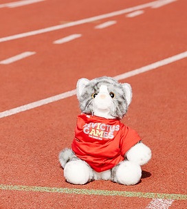 Voyez les photos et résultats des participations d'Équipe Canada aux Jeux Invictus précédents ici.