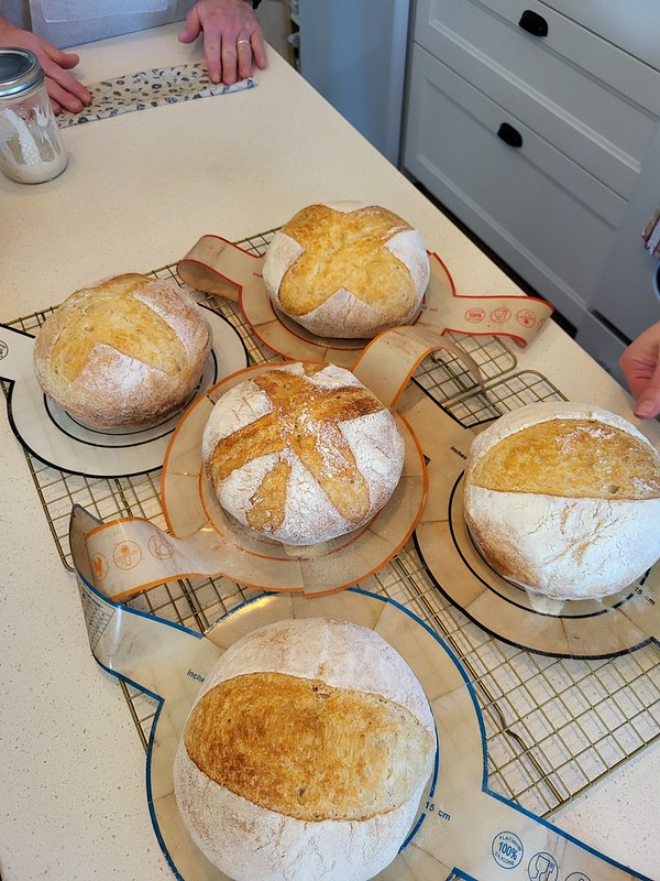 Atelier de fabrication de pain au levain - 2026 - Seabright, NS
