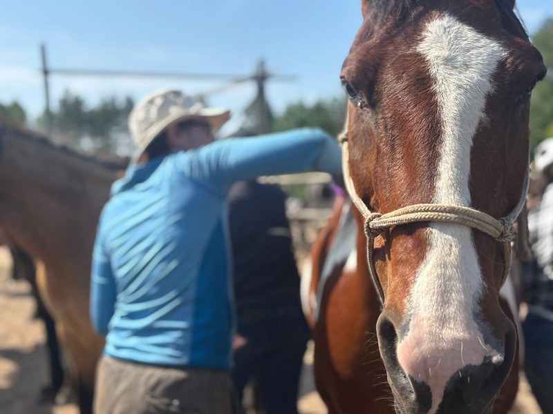 RANDONNÉE, VÉLO, ÉQUITATION ET KAYAK DANS L