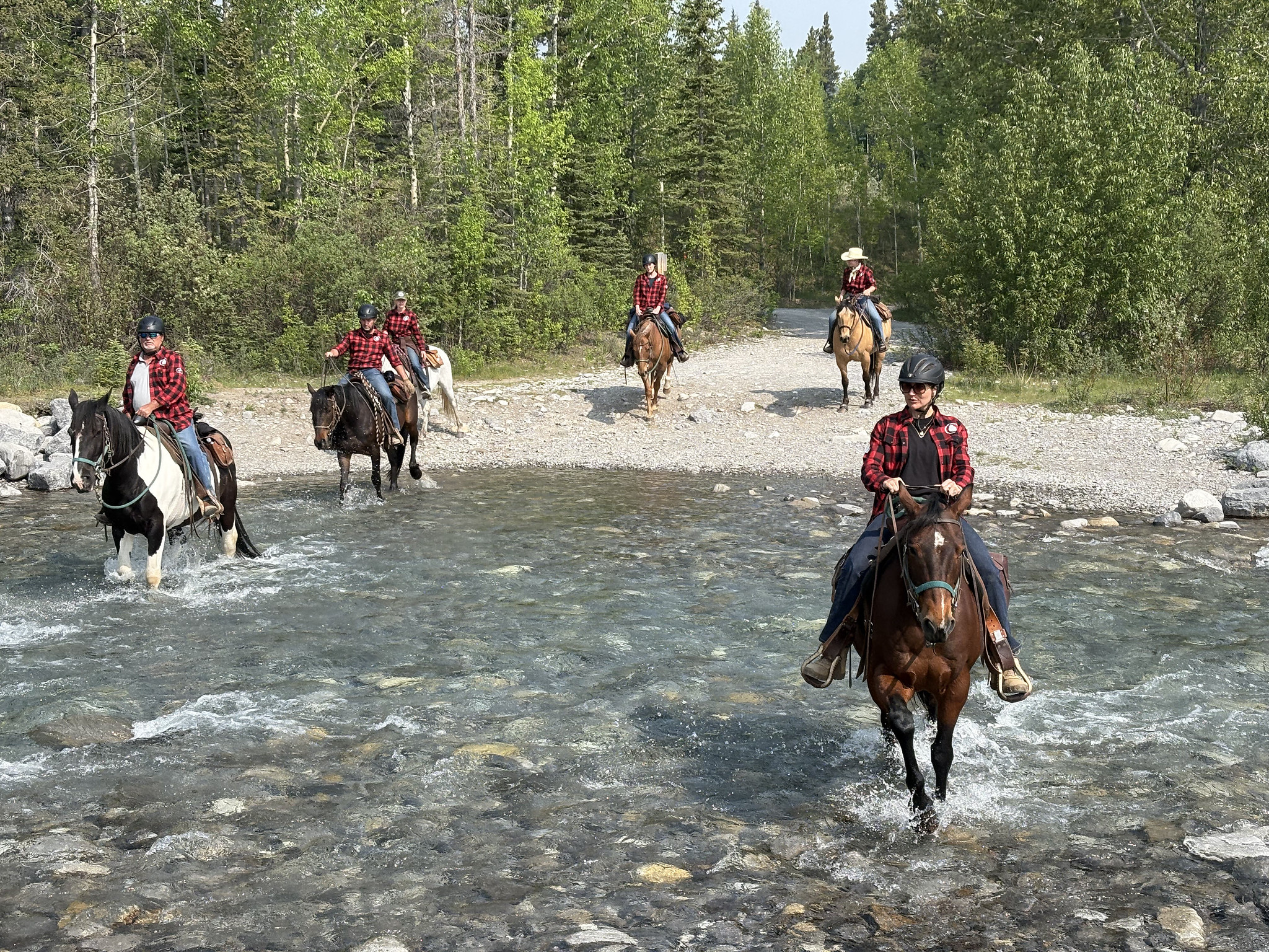 CAMP D’ÉQUITATION RCN - 2026 - Merrickville, ON 