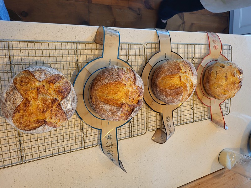Atelier de fabrication de pain au levain - 2026 - Seabright, NS Image