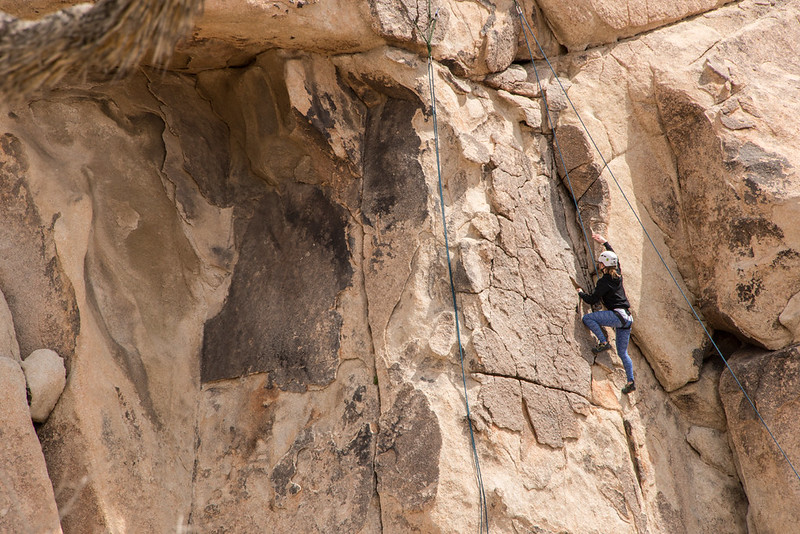 Camp d’aventure randonnée et escalade - 2026 - BC